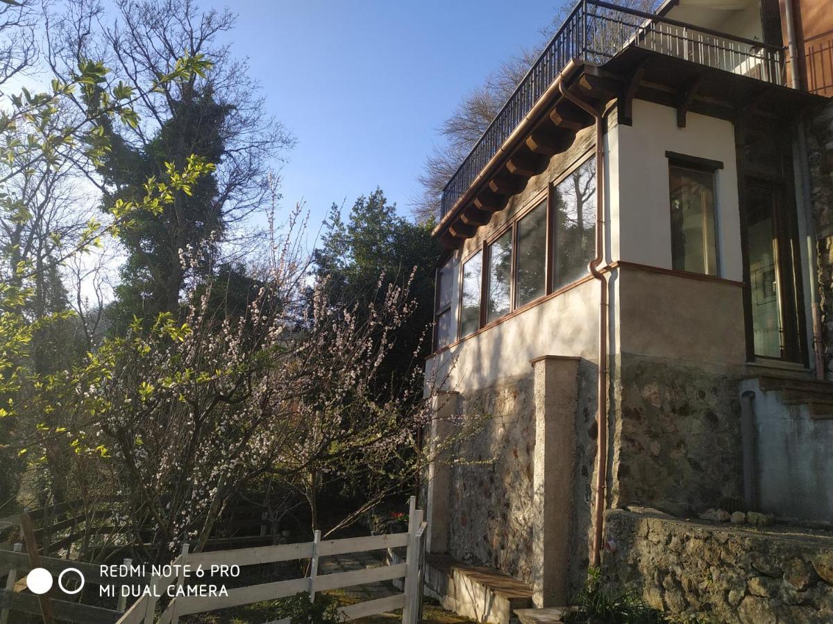 Appartement Casa Dei Faggi à Tolfa Extérieur photo