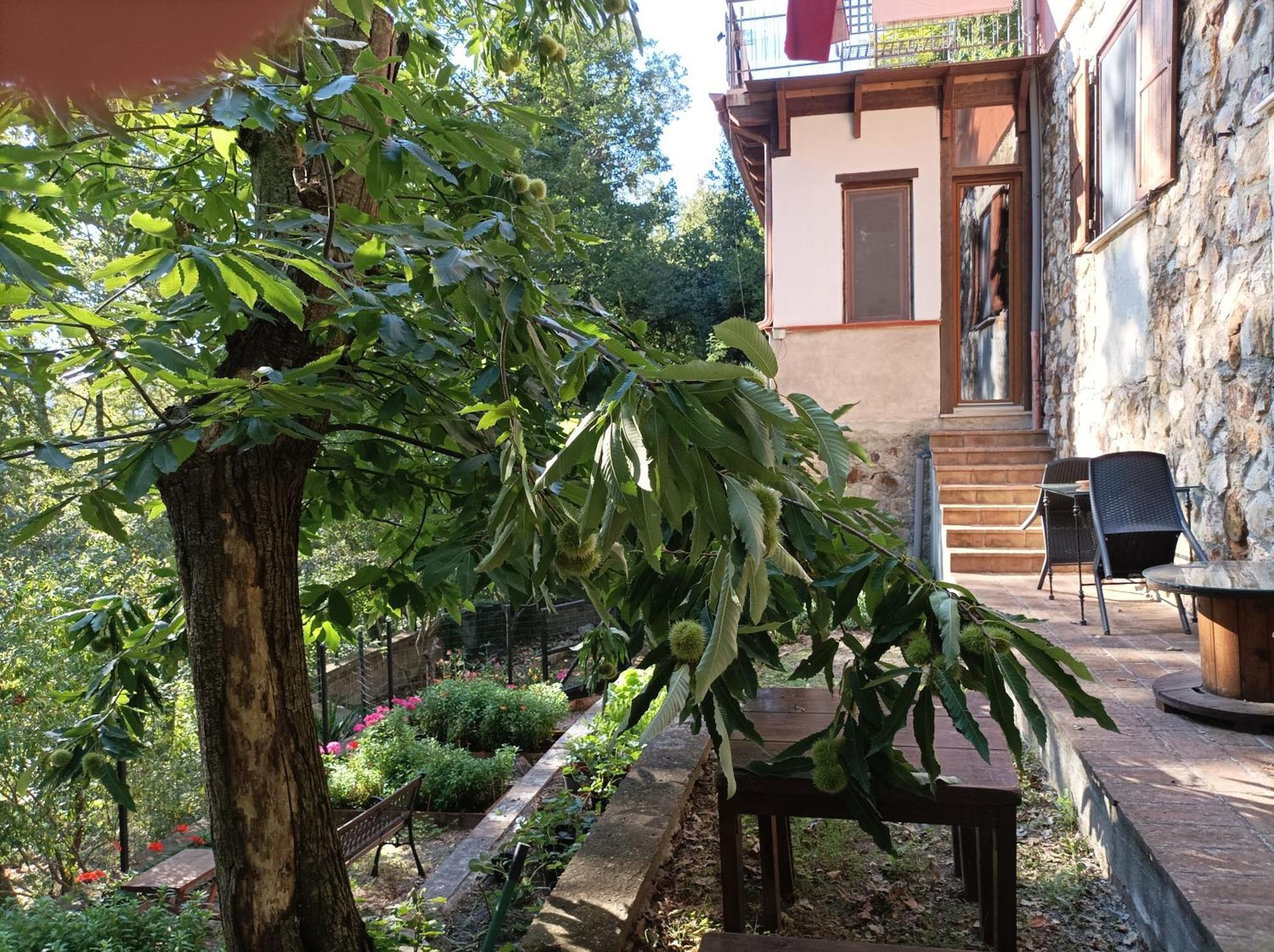 Appartement Casa Dei Faggi à Tolfa Extérieur photo